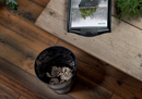 Leitz Recycle Papirkurv – 15L, Miljøvenlig og Robust