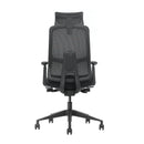 Valor kontorstol Sedia Verde Ergonomisk kontorstol